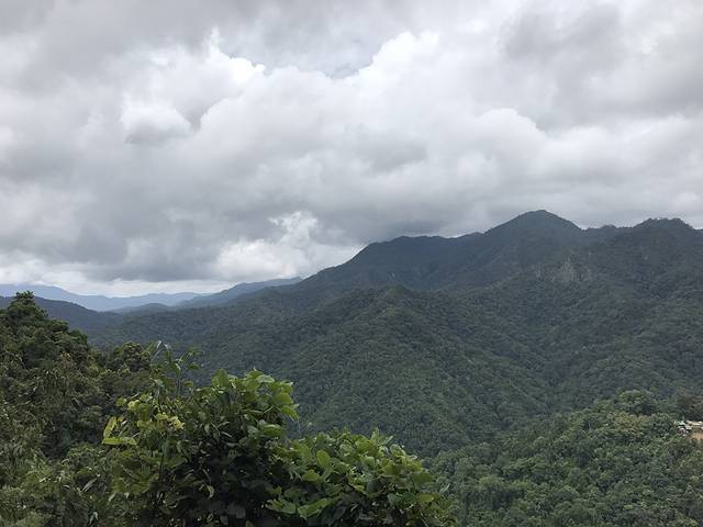 清迈博岩丛林飞跃