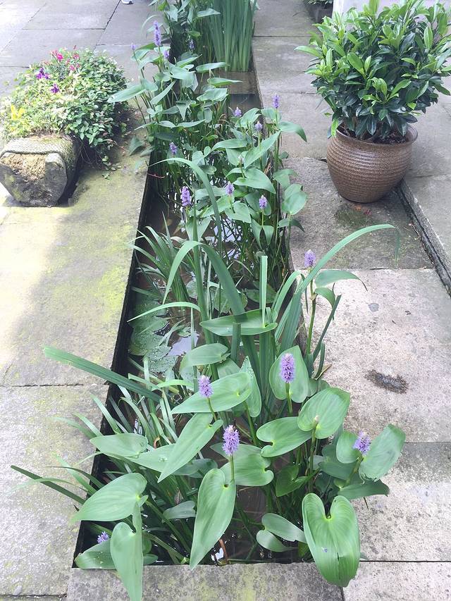 吴越春秋游乐园