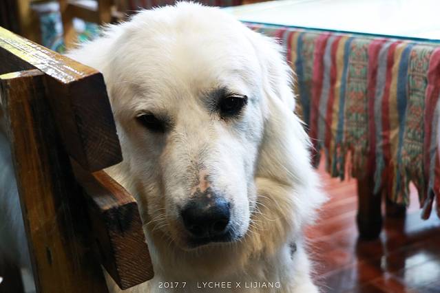 勺子米线·滇味传统过桥米线 (四方街店)