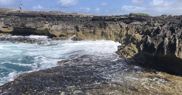 北岸生态冲浪游