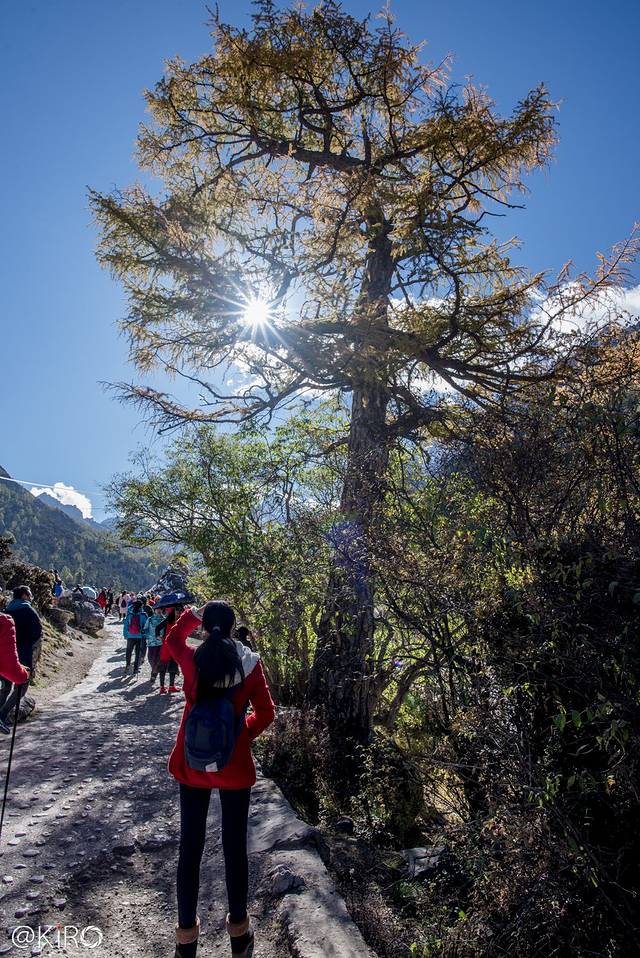 稻城亚丁-扎灌崩