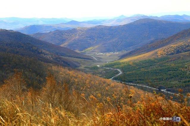 黄岗梁国家森林公园