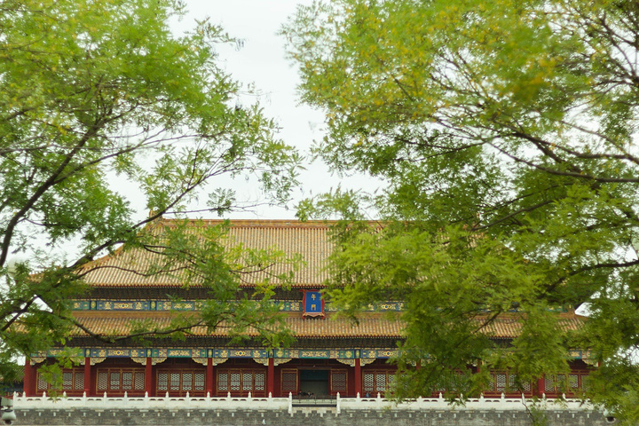 事先在故宫官网上购买了门票,因此不需要排长