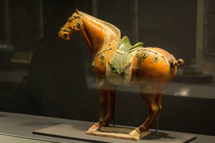 事先在故宫官网上购买了门票,因此不需要排长