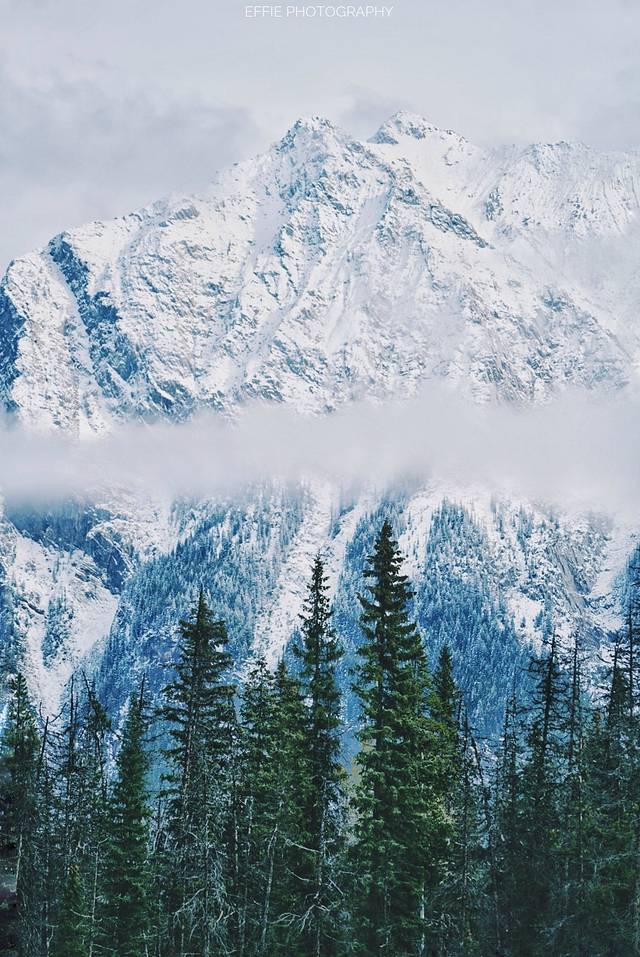 Lake Louise Station Restaurant