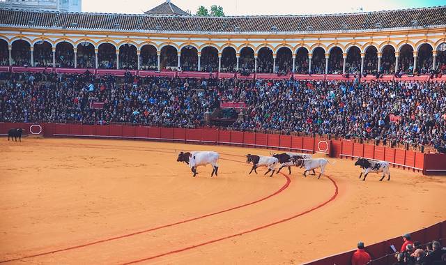 塞维利亚斗牛场