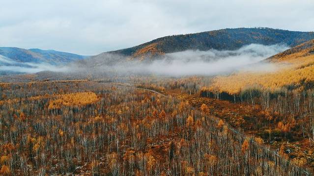 阿尔山国家森林公园