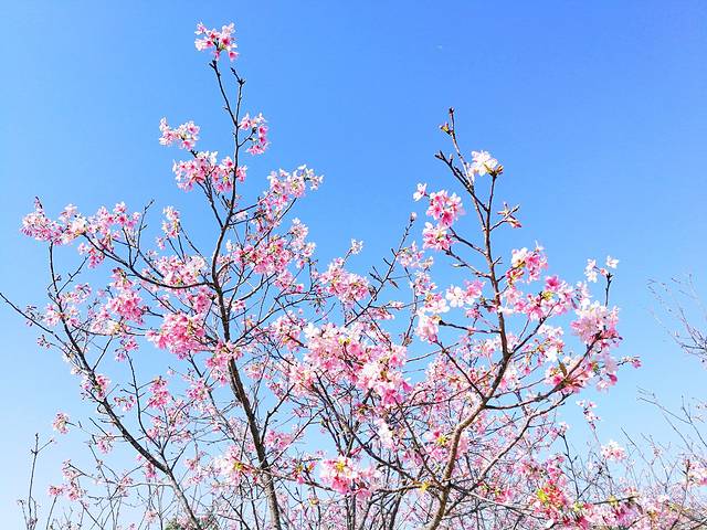 聚龙山生态公园