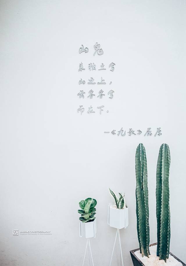 山鬼泉水鸡·围炉煮茶·年夜饭(山鬼民宿店)