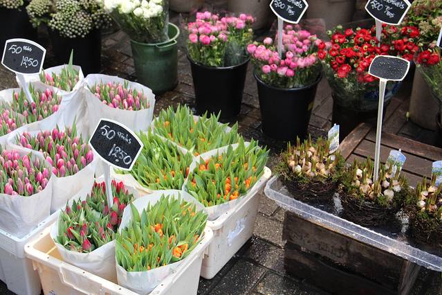 鹿特丹花卉市场