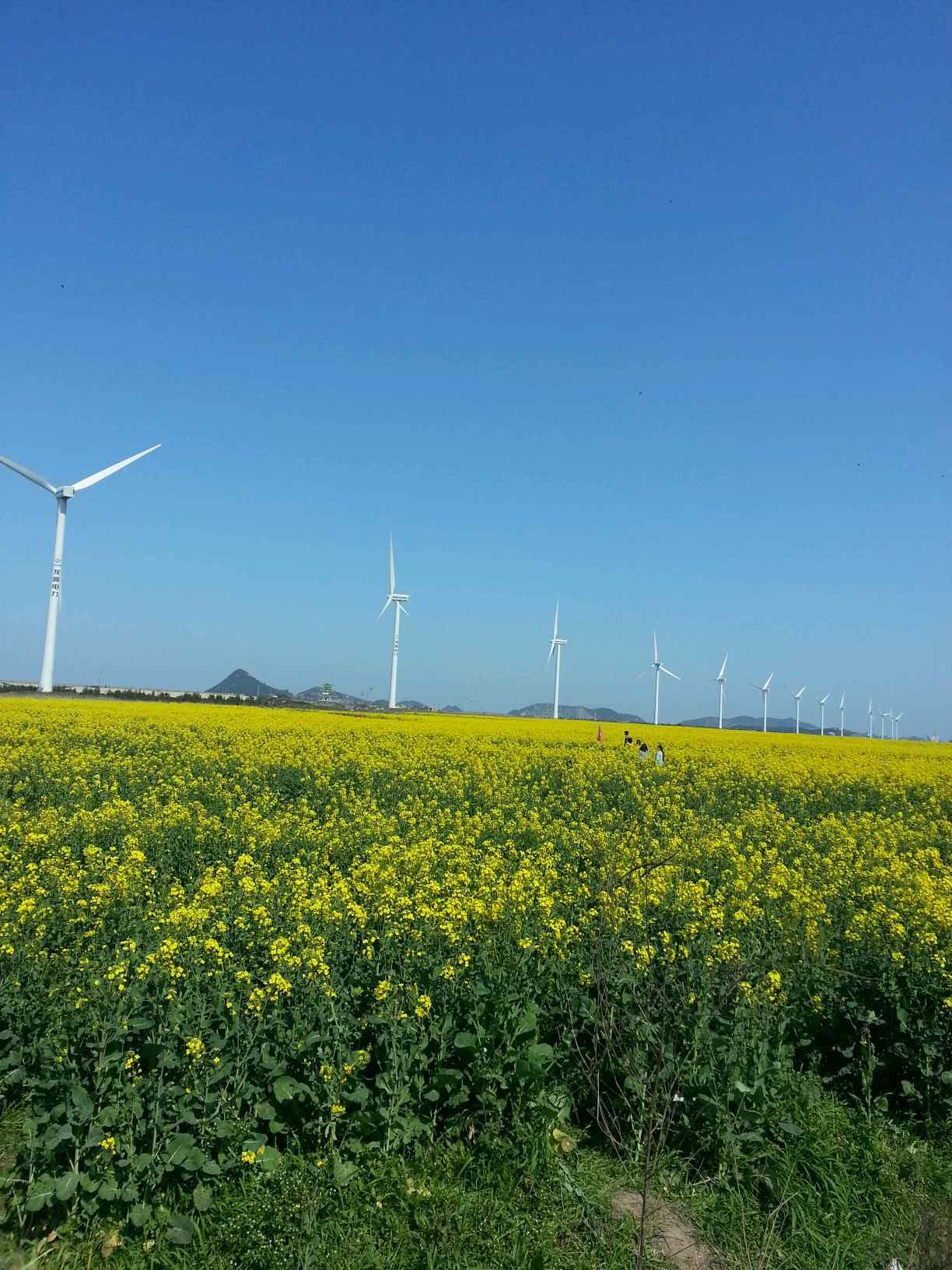 松门滨海风景区位于温岭市松门镇境内,距市区29公里,面积15.