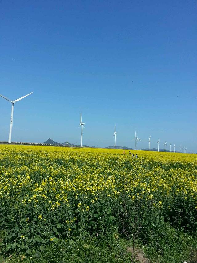 松门滨海风景区