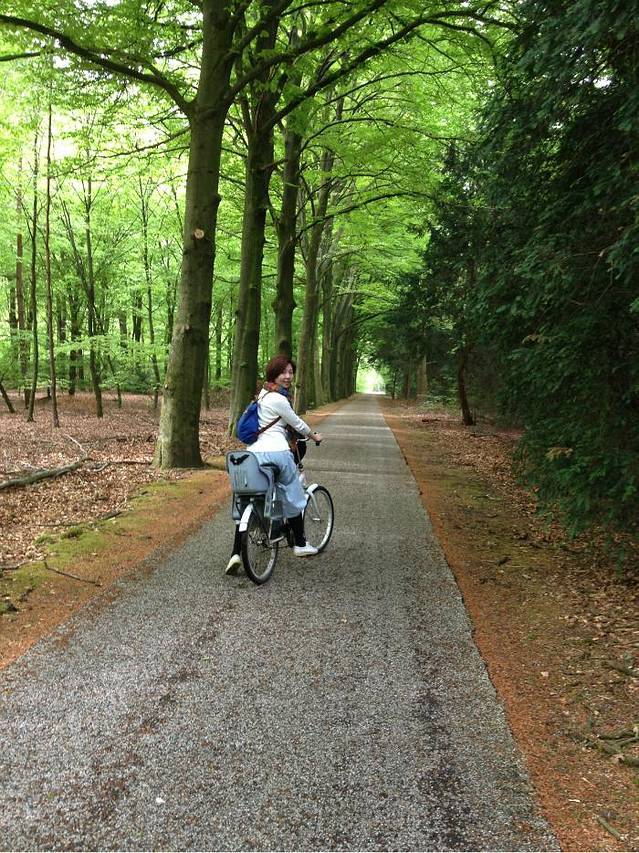 阿姆斯特丹森林公园