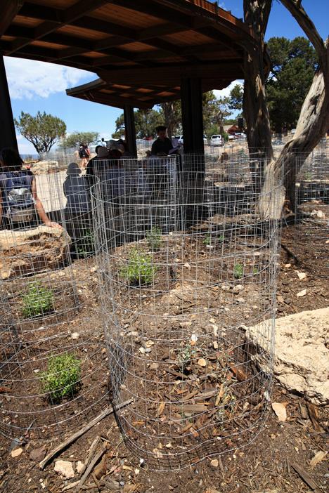 Grand Canyon Field Institute