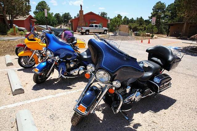 Grand Canyon Field Institute