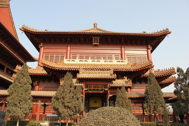 "柏林禅寺无门票，进入寺庙建议沿着逆时针方向走一圈，重要看点就是 最后的万佛阁，里面的五尊大佛非常壮观_柏林禅寺"的评论图片