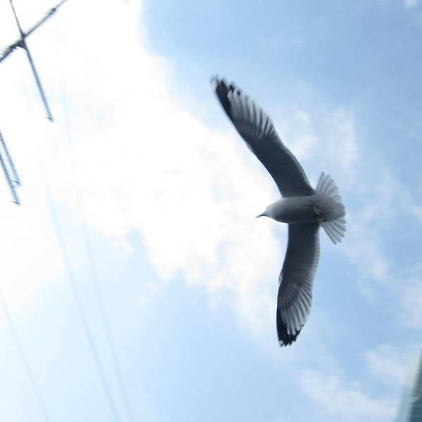 9018fa0bd20eec61ddb12cfb.jpg_600x600x70_3967f195.jpg