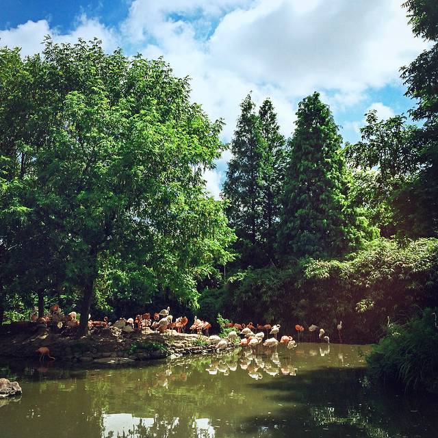 上海野生动物园