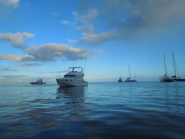 都是出海的船哦