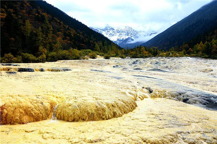 金沙铺地是黄龙景区里的另一个著名景点,沿着山坡走势,黄色的钙化池长