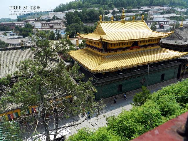 塔尔寺大金瓦殿