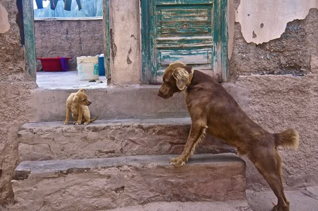 挂在天上的村庄图片