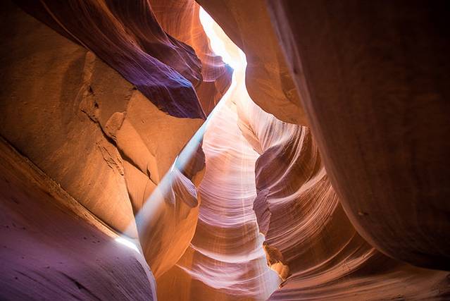 拉布雷亚沥青坑