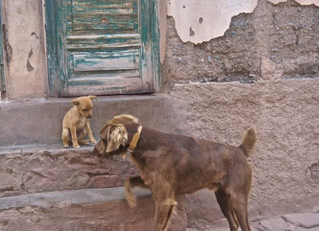 挂在天上的村庄图片