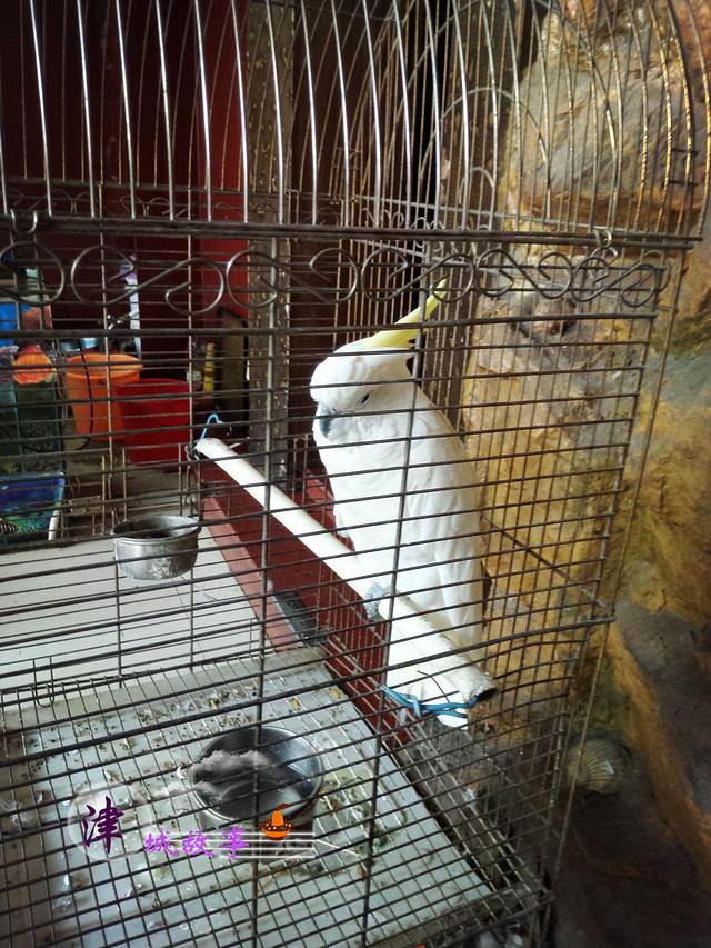 老渔民(塘沽海鲜店)