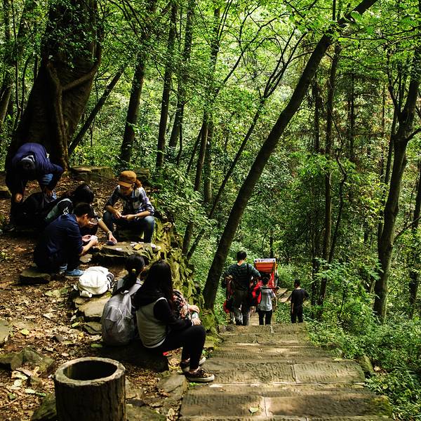 2024乱窜坡门票,张家界乱窜坡游玩攻略,乱窜坡游览攻略路线/地址/门票