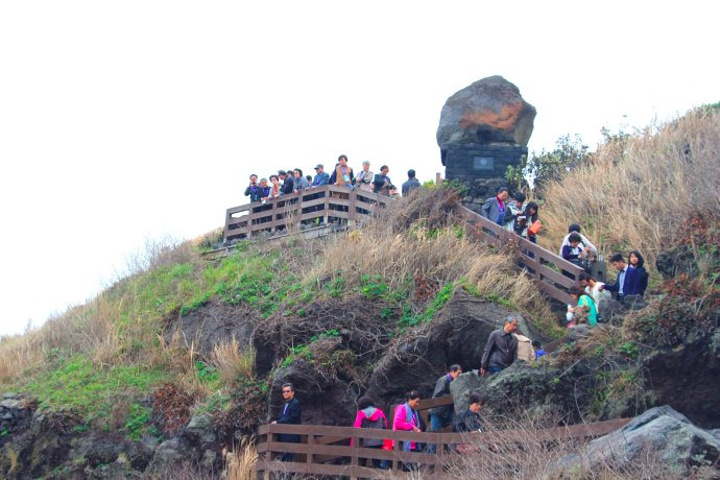 2017夏季最高气温33.5℃,冬季最低气温1℃_龙