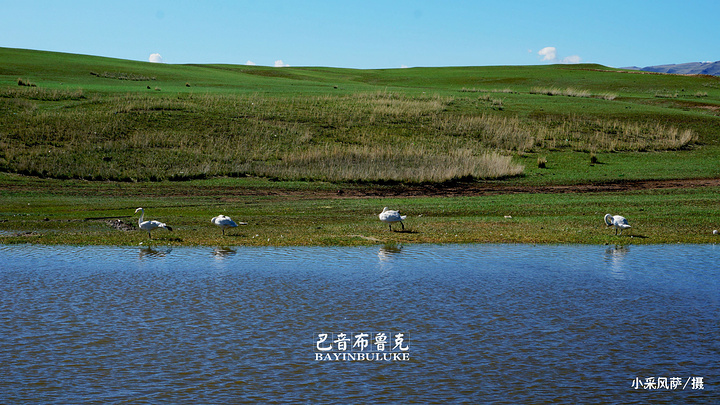 "骑马是从比较平缓的山坡而上，这边的视野十分的开阔，风景当然也会更好，更主要的是骑马的心情也会特别轻松_巴音布鲁克景区"的评论图片