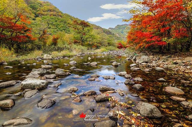 蒲石河森林公园