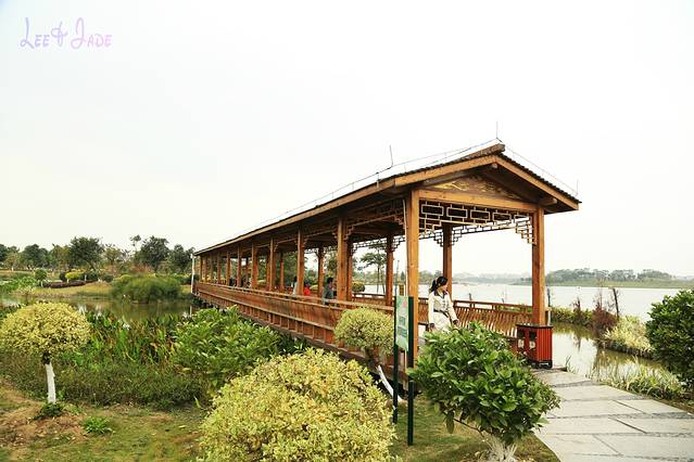 广州白云湖公园