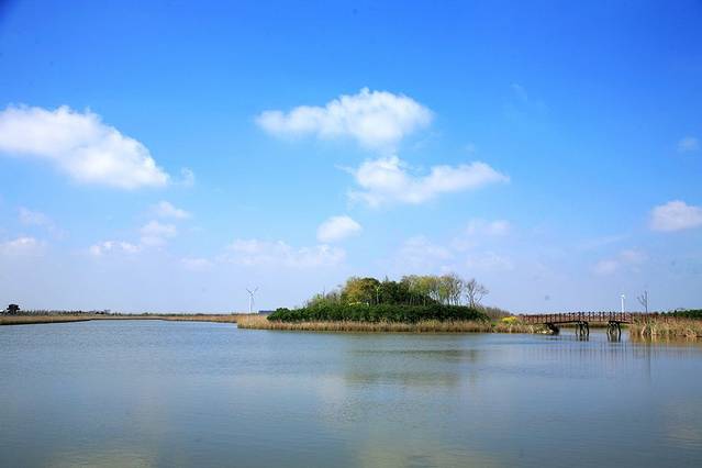 东滩湿地公园