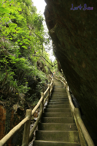 "...天飘降，轻柔，飘忽，无声无息……与雄伟壮阔的悬崖背景，刚柔并济，奇妙地融为一体，真叫人叹为观止_广东大峡谷"的评论图片