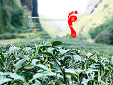 武夷山旅游景点攻略图片