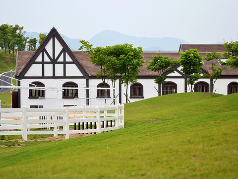 进贤湾马术公园