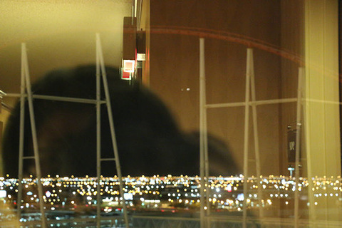 拉斯维加斯奥特莱斯北店旅游景点攻略图