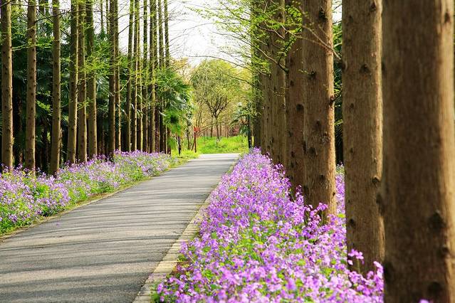 东平国家森林公园