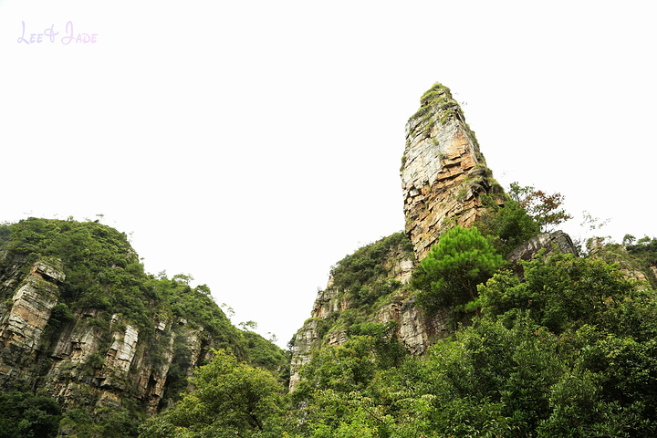 "...天飘降，轻柔，飘忽，无声无息……与雄伟壮阔的悬崖背景，刚柔并济，奇妙地融为一体，真叫人叹为观止_广东大峡谷"的评论图片