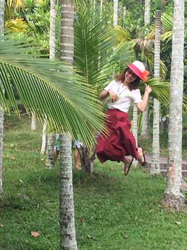 2015呀诺达雨林景区_旅游攻略_门票_地址_游