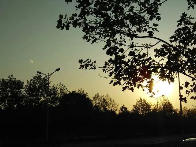 西北大学长安校区