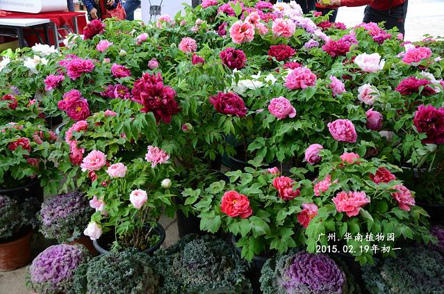 中国科学院华南国家植物园