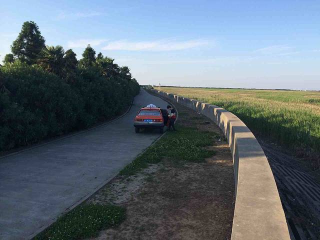 崇明岛国家地质公园