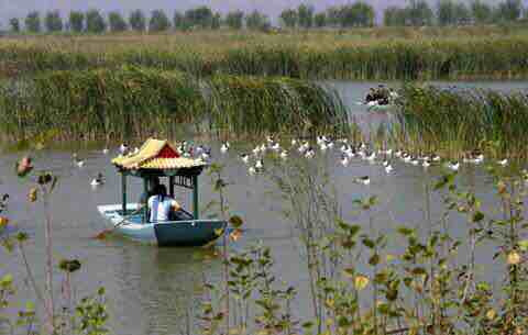 东沟湿地狩猎场