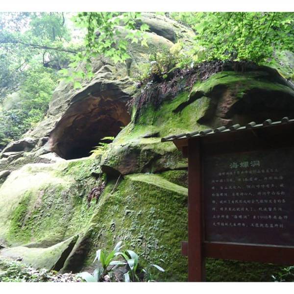 2022缙云山门票,重庆缙云山游玩攻略,缙云山游览攻略路线/地址/门票价格-【去哪儿攻略】
