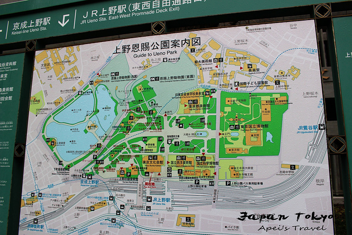 冬天真的不适合来公园真的上野公园挺大的其实好像是通缉犯来着可是