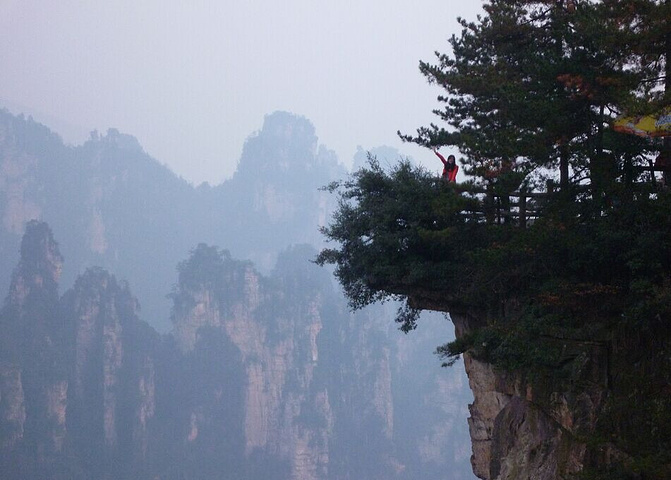 "我们下午游玩了一步登天、空中走廊、土匪窝、天波府等杨家界的精华景点，觉得这里才是张家界森林公园..._老屋场景区"的评论图片