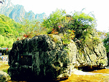 新乡旅游景点攻略图片